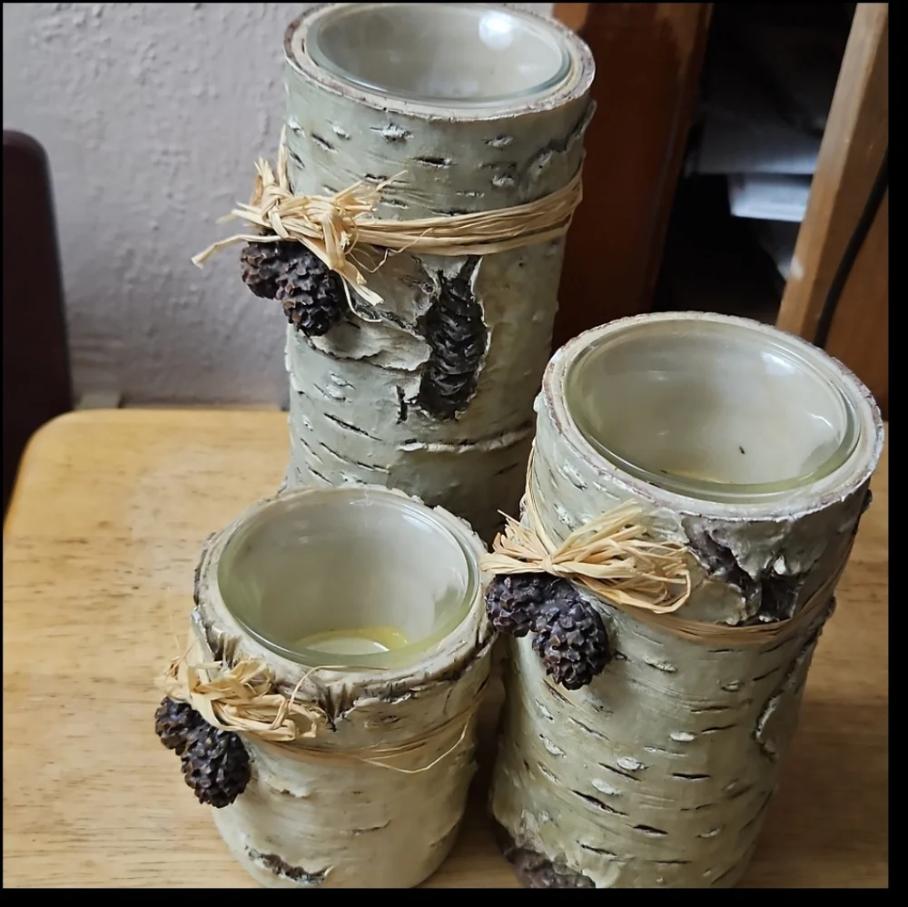 6-Pc Resin White Birch Log Votive Candle Holder Set - Holiday - Raffia Pinecones